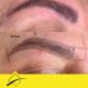 Phibrows Microblading