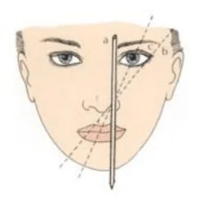 The eyebrow shape be determined according to the facial proportions 