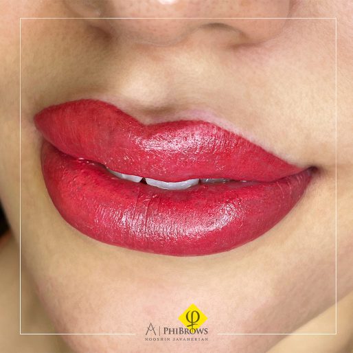 Lip blushing is a type of semipermanent cosmetic tattooing | Canada Makeup | Brow | 1 3 | Canada Makeup | NOOSHIN JAVAHERIAN