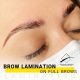 Brow lamination Toronto