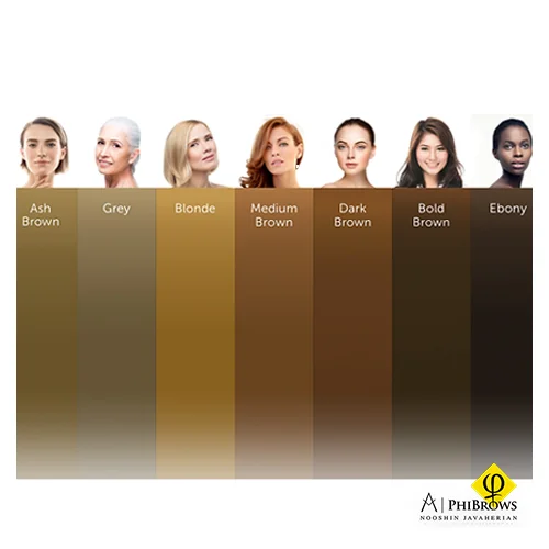Different microblading color chart & palette: