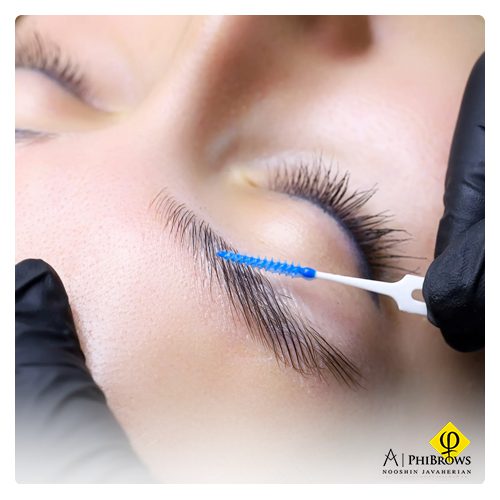 Preparing for a brow lamination