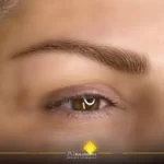 Microblading & Shading