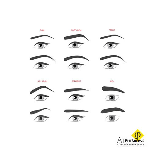 Different microblading eyebrow shapes 