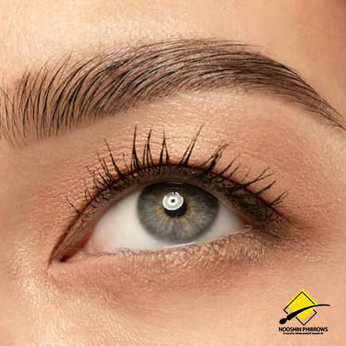 Beautiful eyebrows by Hair stroke eyebrows method | Microblading | Canada Makeup | Hair stroke eyebrows | Hair stroke eyebrows | Canada Makeup | NOOSHIN JAVAHERIAN