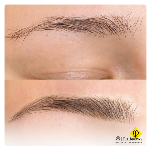 Beautiful eyebrows by Hair stroke eyebrows method